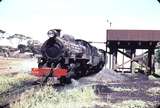 107818: Williams Down Goods Pr 532 W 940