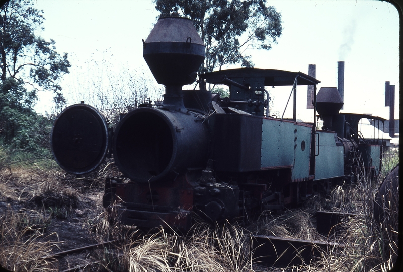 108202: Sarina Plane Creek Mill 0-4-2T+T in rotten row