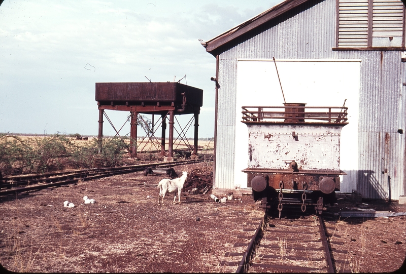 108339: Normanton Locomotive Depot Water Tank A10 Class tender Feral Goat and Kids