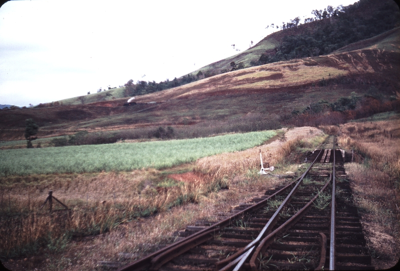 108391: Jungara In Distance Down Goods Pb15 468