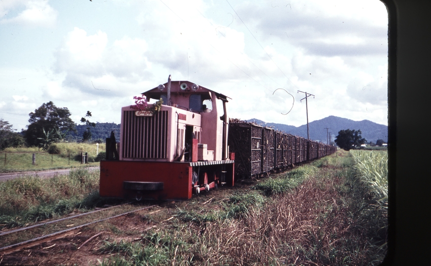 108408: Babinda Mill Miriwinni Up Cane Alison Comeng