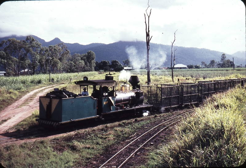 108420: Victoria Mill Abergowrie Line near Nebonne Melbourne refuging Down Empty