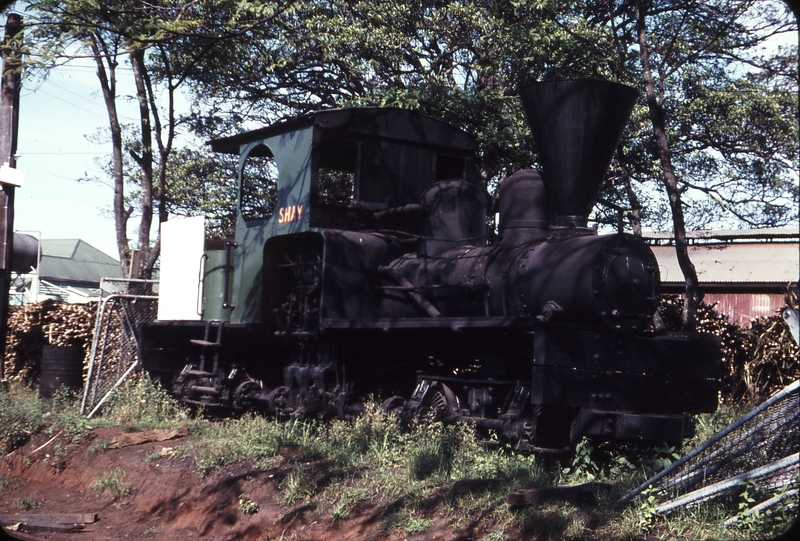 108524: Moreton Mill Nambour Shay Preserved