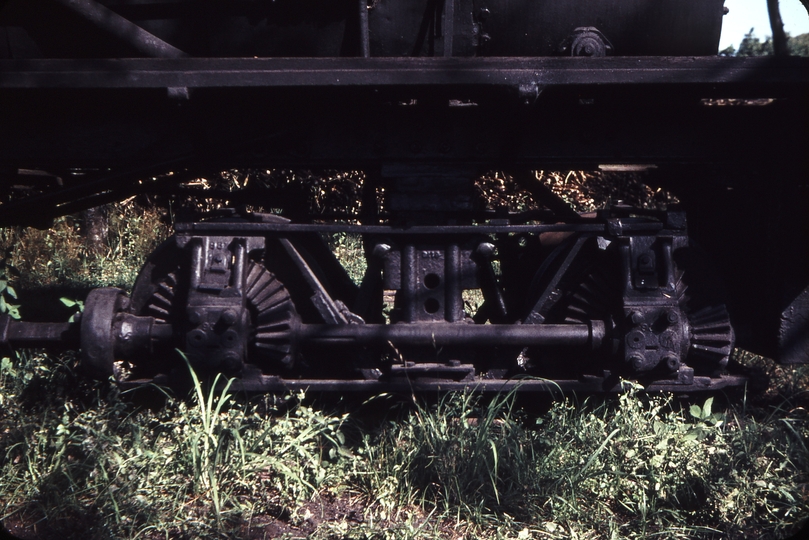 108525: Moreton Mill Nambour Shay Preserved