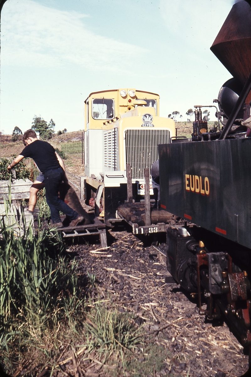 108534: Moreton Mill Bli Bli Clyde Diesel with coal wagon being unloaded and Eudlo