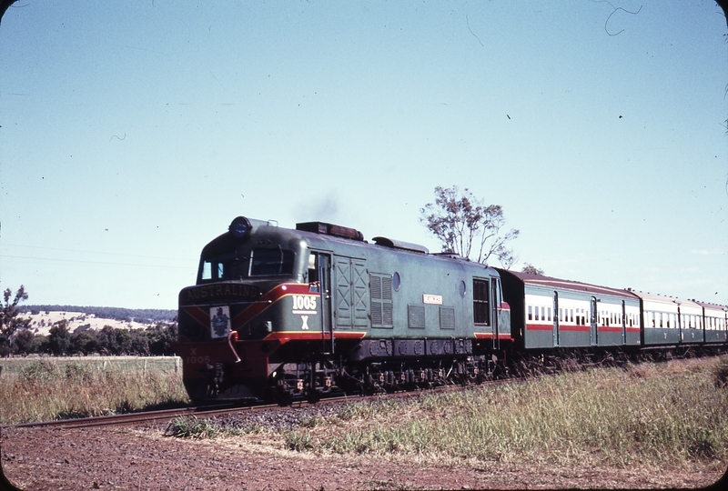 108664: Cookernup 1 Mile up side Up Australind X 1005