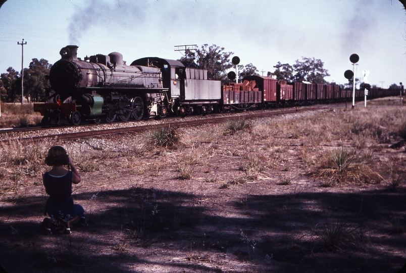 108715: Mundijong Up Goods Pm 710 Wendy at left