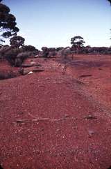 108775: Contract C10 104 Miles Looking East Concident WA Goldfields Firewood Supply formation