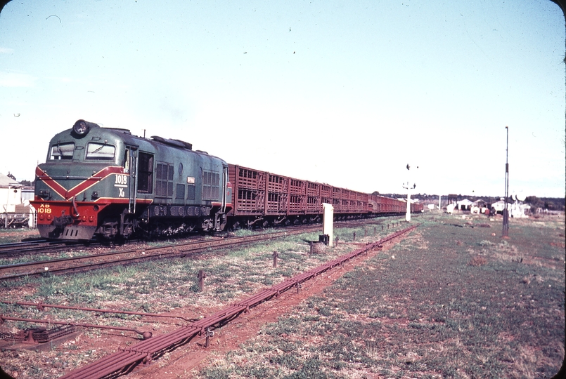 108810: Kalgoorlie Down Goods Xb 1018