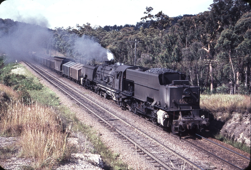 108976: Fassifern Up Goods 6022 Photo Wendy Langford