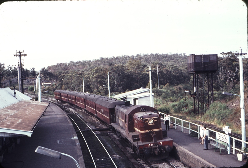 109009: Fassifern Down Passenger 4017 Photo Wendy Langford