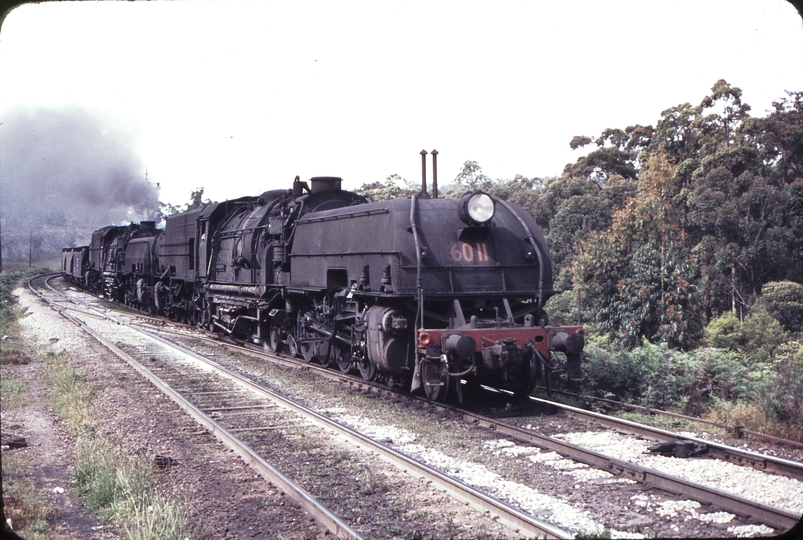 109014: Fassifern Down Goods 6011 6006 Photo Wendy Langford