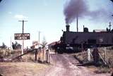 109023: East Greta Up Coal 25