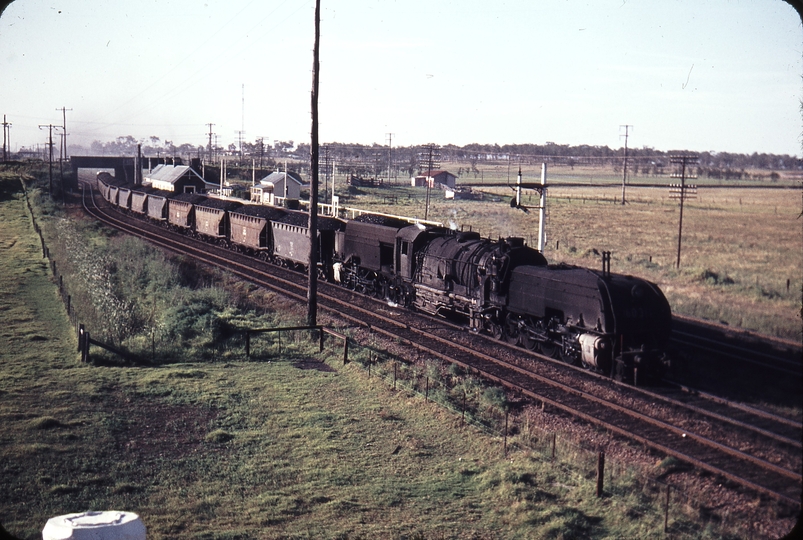 109033: Tarro Up Coal 6031