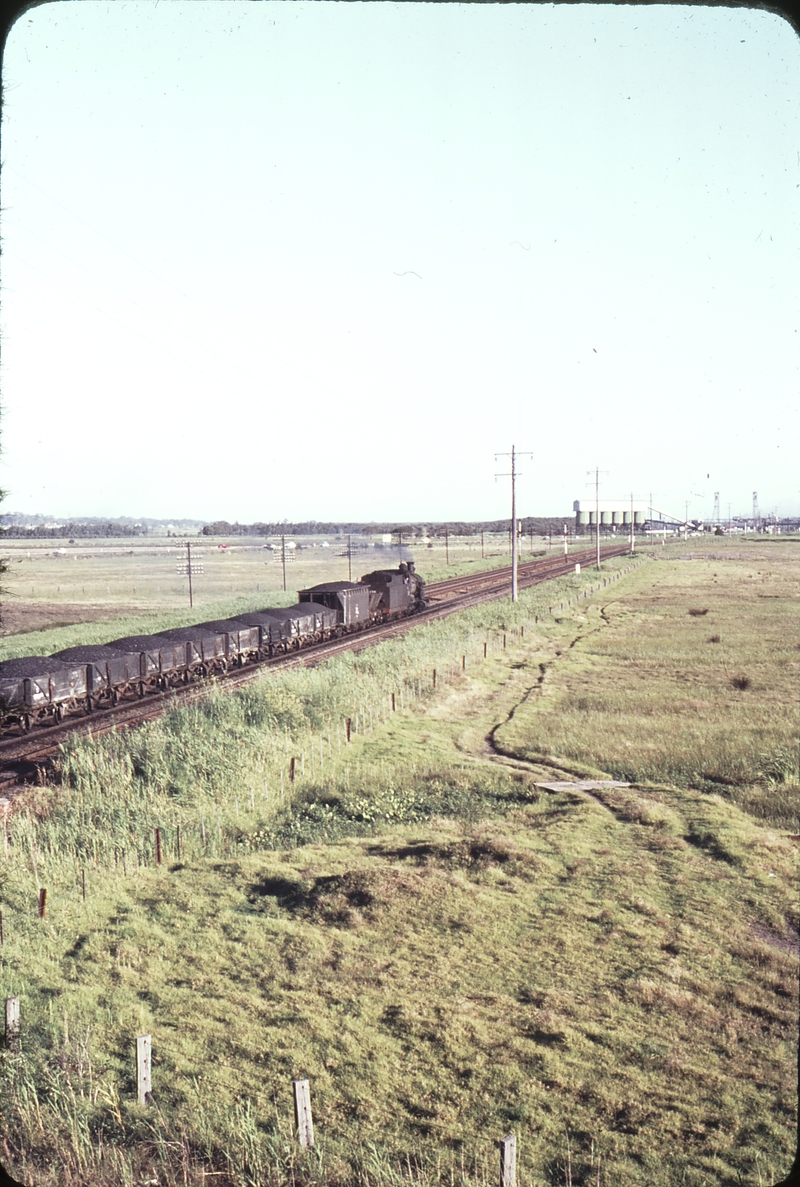 109039: Tarro Up Coal 5139 Photo Wendy Langford