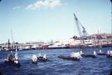 109243: Swan River Bridge North Fremantle Down Suburban Railcar and remains of first railway bridge viewed from Rottnest Island Ferry