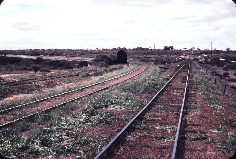 109286: Amery Junction of Kalannia and Wyalkatchem Lines