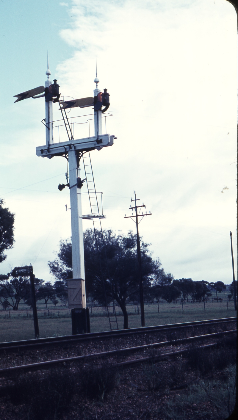 109411: York Up Distant Signals