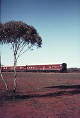 109491: Mile 1104 TAR CR Commissioners Car taking up rear of Trans Australian Express