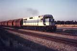 109501: Forrestfield Yard North End Up Wheat L 260