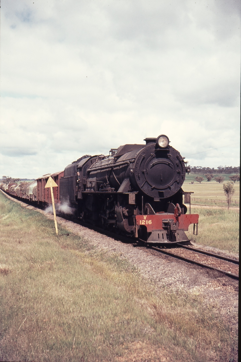 109529: Burges down side Up Goods V 1216