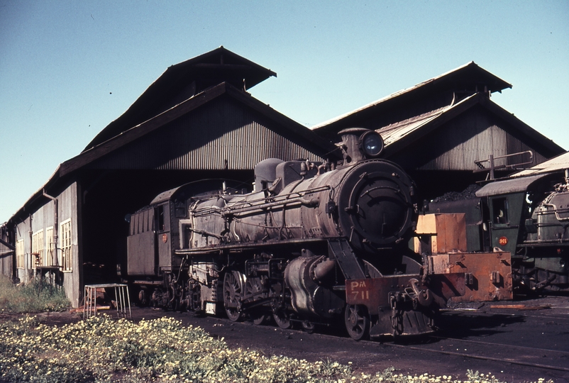 109563: Old Northam Locomotive Depot Pm 711 and W 901 in background