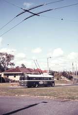 109634: Oceanic Drive Terminus Route 77 Eastbound Sunbeam Trolleybus 856