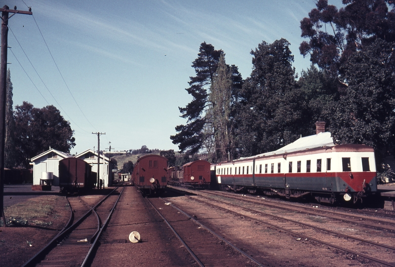 109665: Bridgetown Down ARHS Special Wildflower Railcar