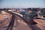 109876: Mount Lawley Down Empty Cars X 1013