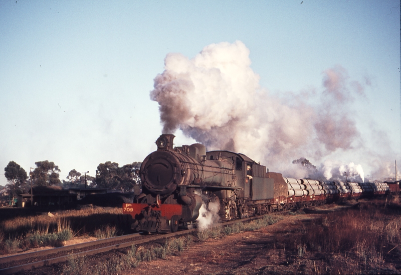 109920: Narrogin down side Down Goods Pm 709