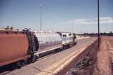 109950: Forrestfield Opposite Locomotive Depot Down Grain Empty L 251