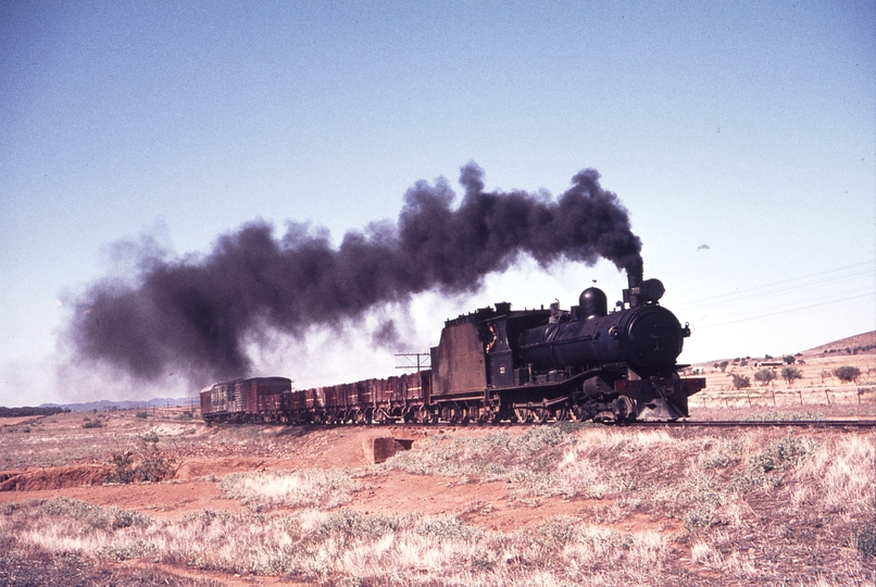 109983: Wilson 5 Miles down side Up Goods T 211