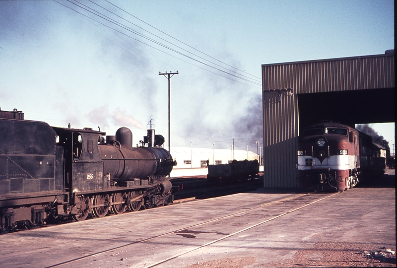 110009: Port Pirie Junction Shunter T 255 also 930