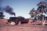 110039: Crystal Brook Bridge Down Ore 404