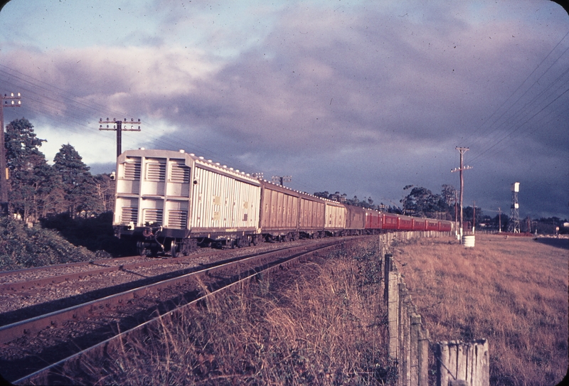 110139: Pukekohe 1 Mile down side No 227 Auckland to Wellington Express Da 1492