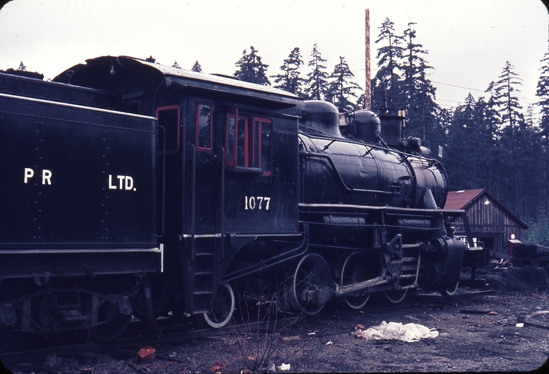 110182: Nanaimo River Camp BC MacMillan Bloedel 1077 MLW 65337 - 1923