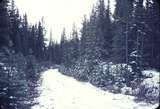 110680: near Lake Louise AB Grade of CPR 3 0 gauge tramway 0.75 miles south of lake Looking north