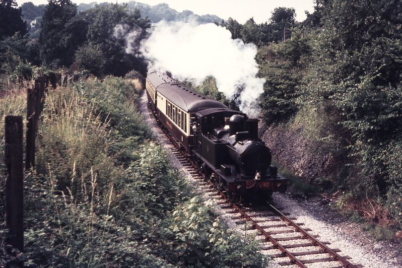110981: Dart Valley Railway Buckfastleigh South side DEV Passenger to Totnes ex GWR 1420