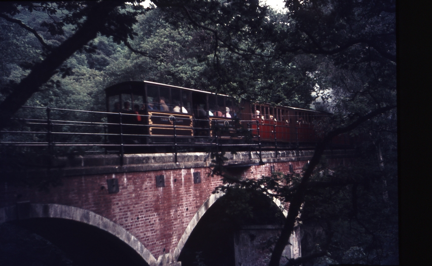 111106: Talyllyn Railway Dolgoch Viaduct MER Up Passenger with ex Corris Carriage at rear