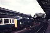 111374: BR York YKS Down Flying Scotsman D 9012 Crepello