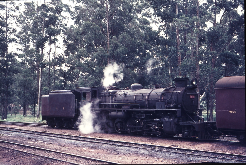 111514: Kampala Uganda Shunter 3131 Kenyi