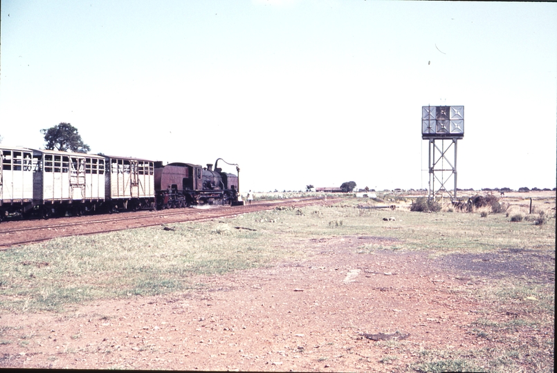 111633: Naro Moro Kenya Northbound Goods 6015