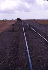 111804: Goldsworthy Railway 56 Mile Siding Looking East