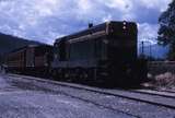 112143: Myrtleford Up Goods and AREA Car T 321