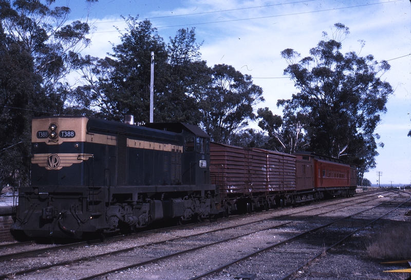 112160: Everton Down Beechworth Goods with AREA Car T 388