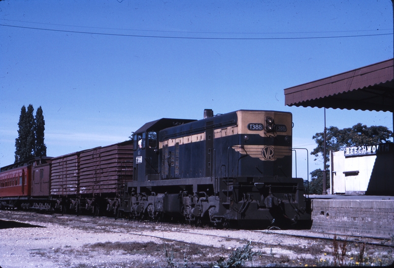 112162: Beechworth Down Goods with AREA Car T 388