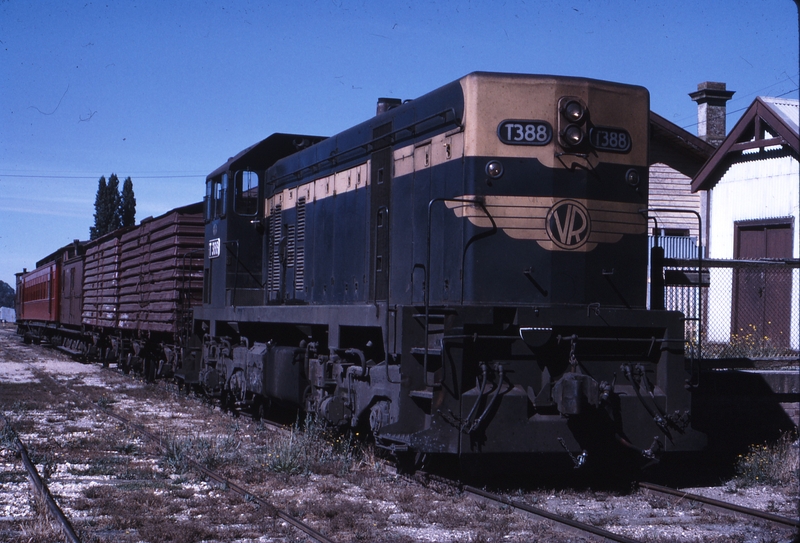 112163: Beechworth Down Goods with AREA Car T 388