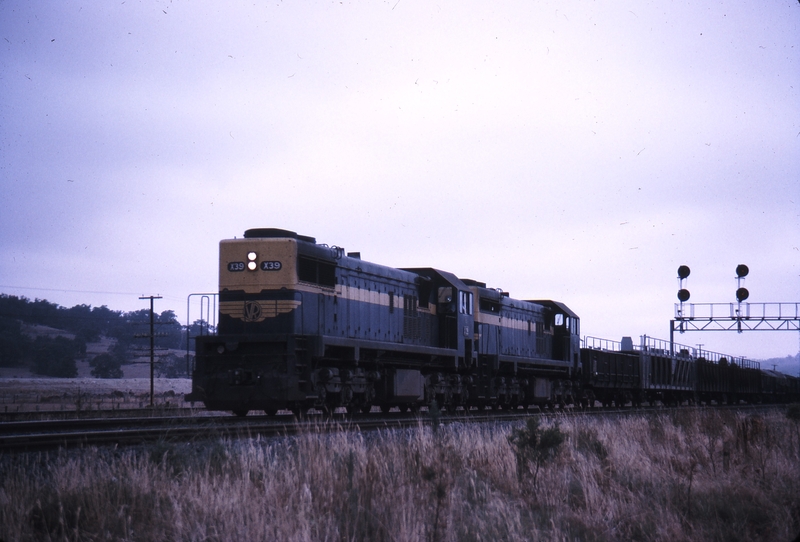 112208: Wallan Loop Up Goods X 39 X 31