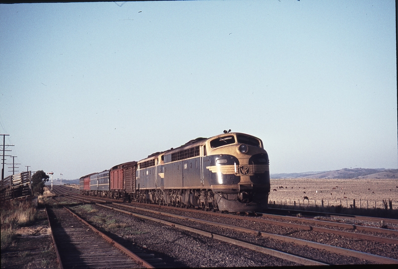 112254: Beveridge Up Passenger from Albury S 315 B 63