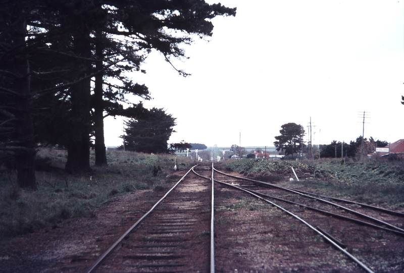 112473: Newlyn Looking towards North Creswick